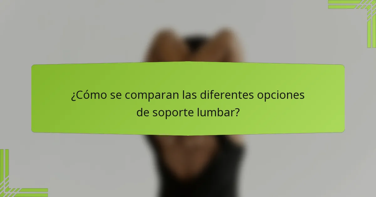 ¿Cómo se comparan las diferentes opciones de soporte lumbar?
