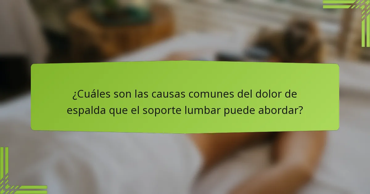 ¿Cuáles son las causas comunes del dolor de espalda que el soporte lumbar puede abordar?